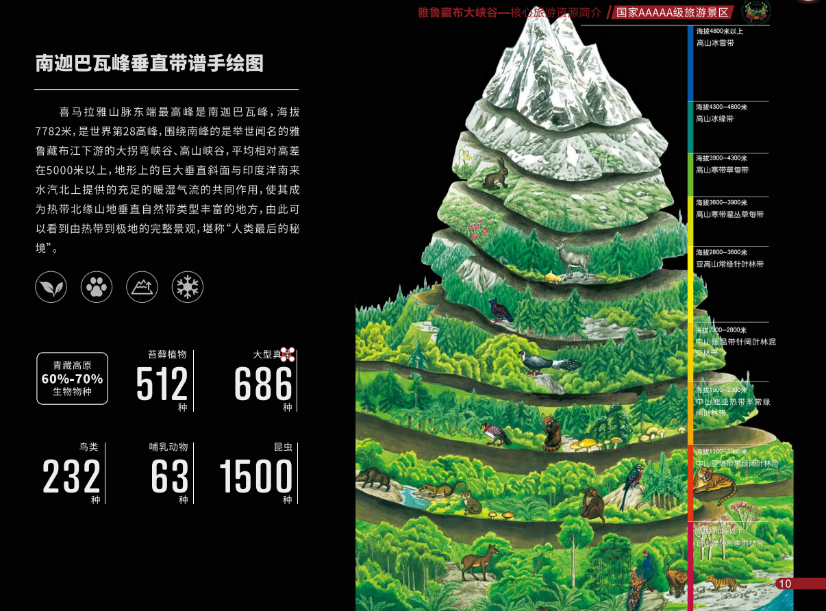 九大.png